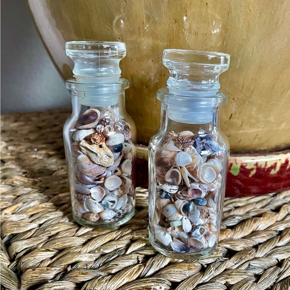 Decorative small sea shells in glass bottles